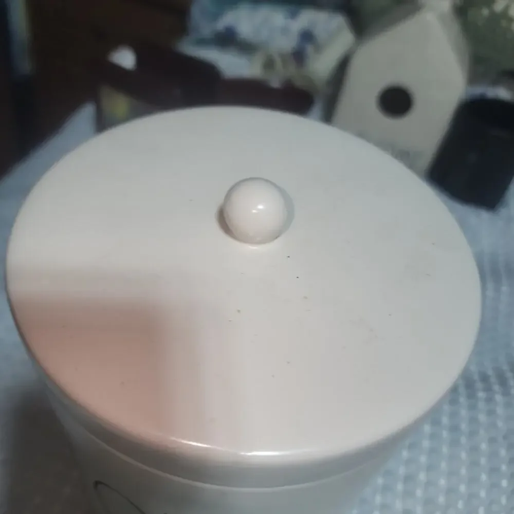 RAE DUNN EUC FLOUR CERAMIC CANISTER JAR & LID